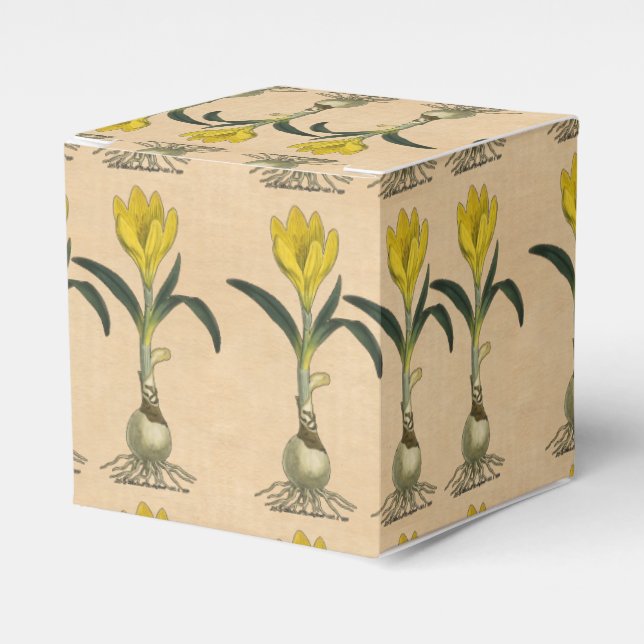 Amaryllis Tulip Botanical Garden Flower Favor Box (Front Side)