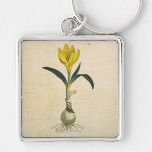 Amaryllis Tulip Botanical Garden Flower Keychain