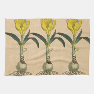 Amaryllis Tulip Botanical Garden Flower Kitchen Towel