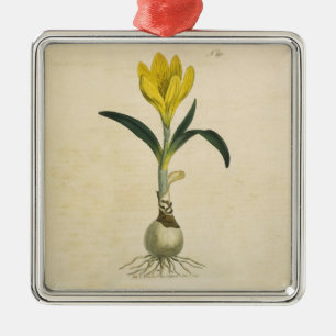 Amaryllis Tulip Botanical Garden Flower Metal Ornament