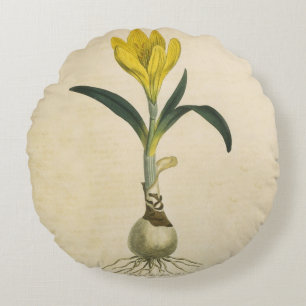 Amaryllis Tulip Botanical Garden Flower Round Pillow