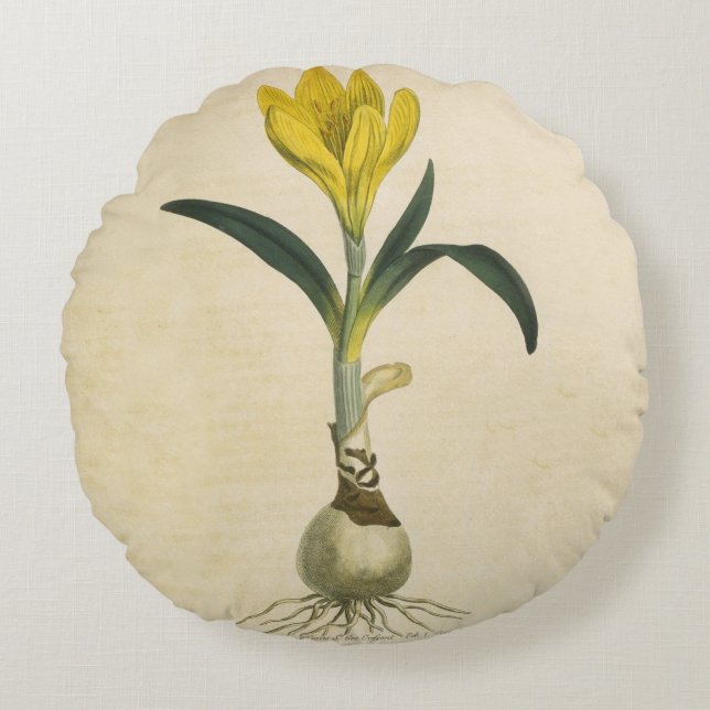 Amaryllis Tulip Botanical Garden Flower Round Pillow (Front)