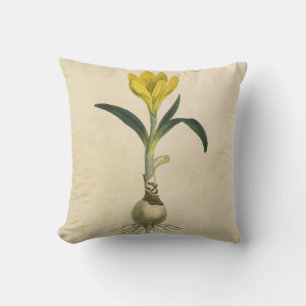 Amaryllis Tulip Botanical Garden Flower Throw Pillow