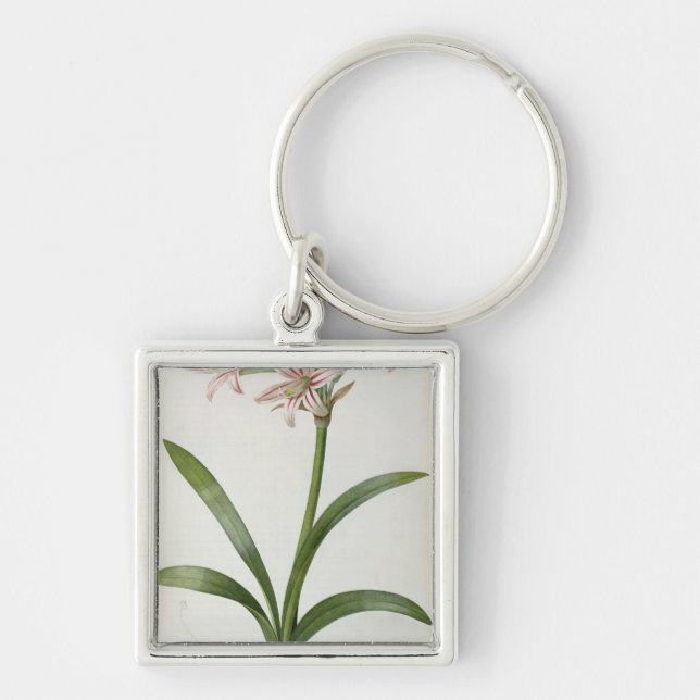 Amaryllis Vittata Keychain (Front)