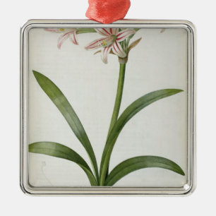 Amaryllis Vittata Metal Ornament