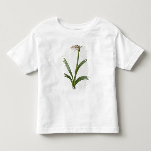 Amaryllis Vittata Toddler T-shirt