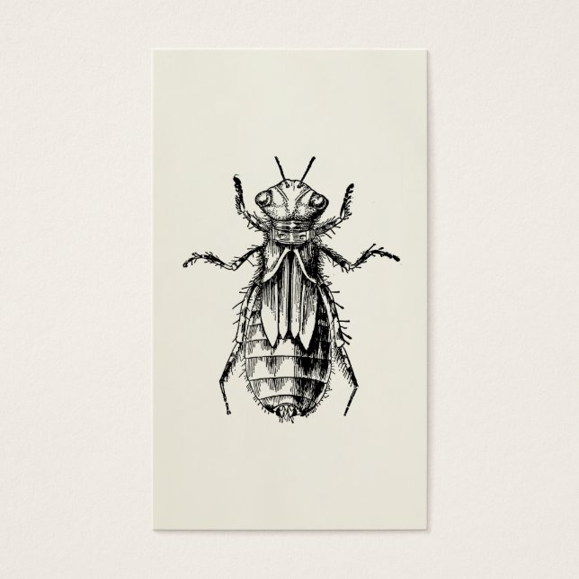 Amateur d'insecte de la nymphe des libellules (Devant)