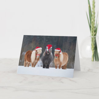 Amateurs de chevaux - Carte de Noël