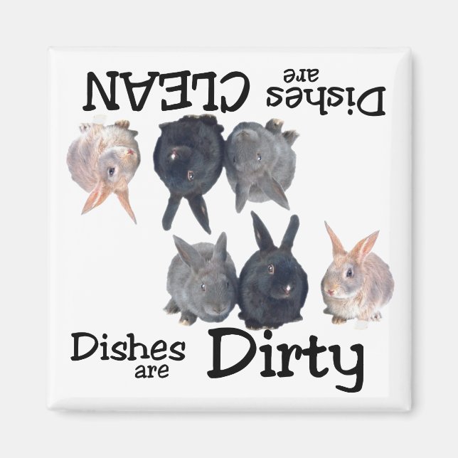 Amateurs de lapin Lave-vaisselle Magnet (Devant)
