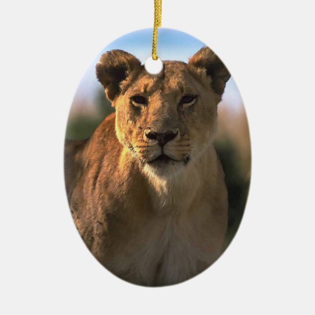 Amateurs de lions Ornement de Noël (Devant)