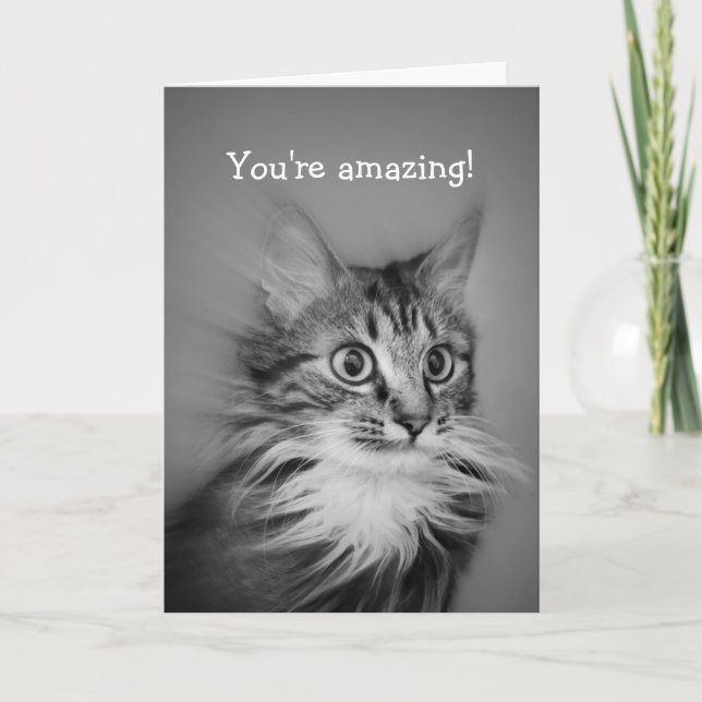 Amazed Cat With Neck Ruff Happy Birthday Card (Front)