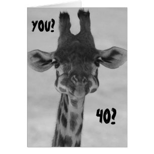 AMAZED GIRAFFE SAYS "YOU" "40?"