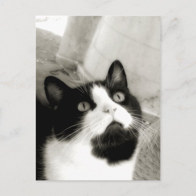 Amazed Postcard (Front)