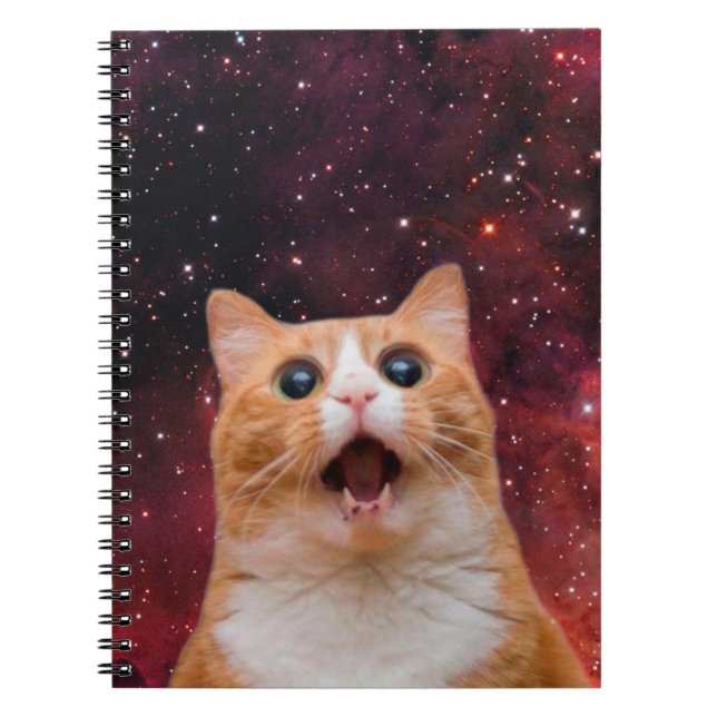 Amazed Space Cat Notebook (Front)