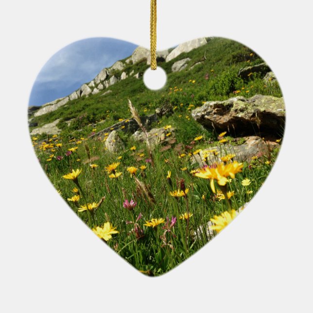 Amazing! Alpine flowers Ceramic Ornament (Back)