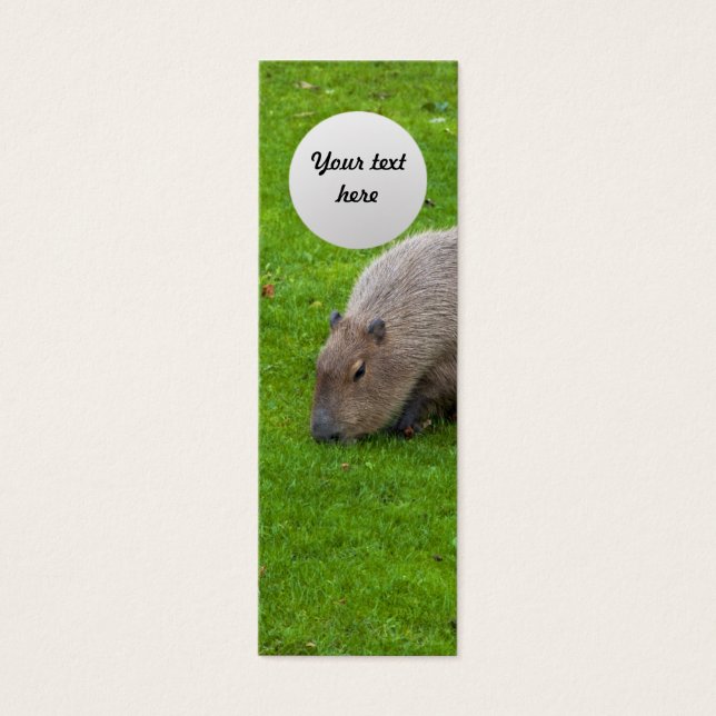 Amazing Animal Capybara (Front)