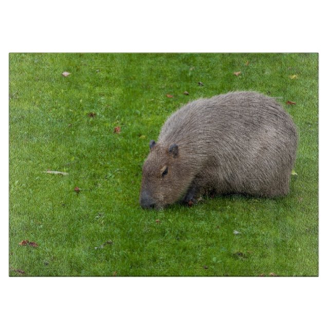 Amazing Animal Capybara Cutting Board (Front)