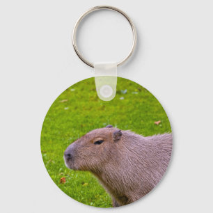 Amazing Animal Capybara Keychain