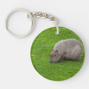 Amazing Animal Capybara Keychain