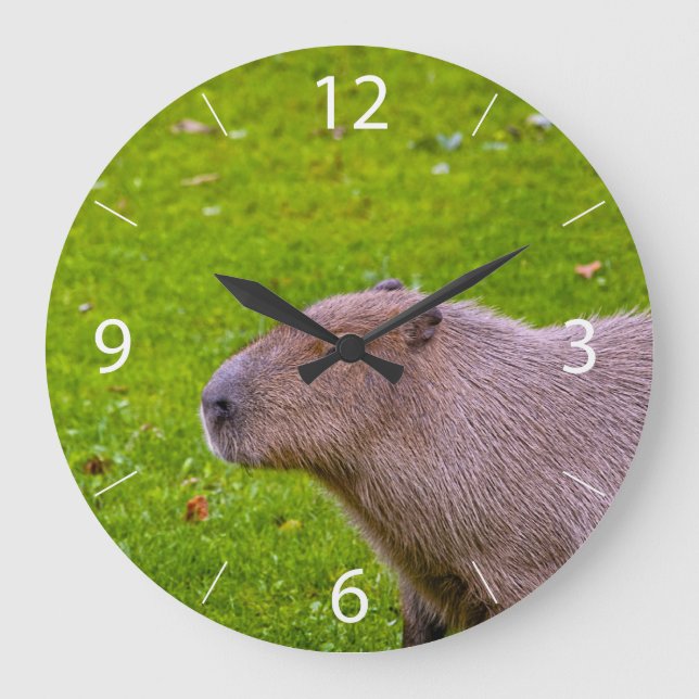 Amazing Animal Capybara Large Clock (Front)