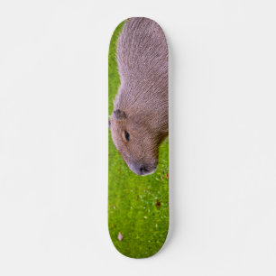 Amazing Animal Capybara Skateboard