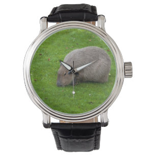 Amazing Animal Capybara Watch