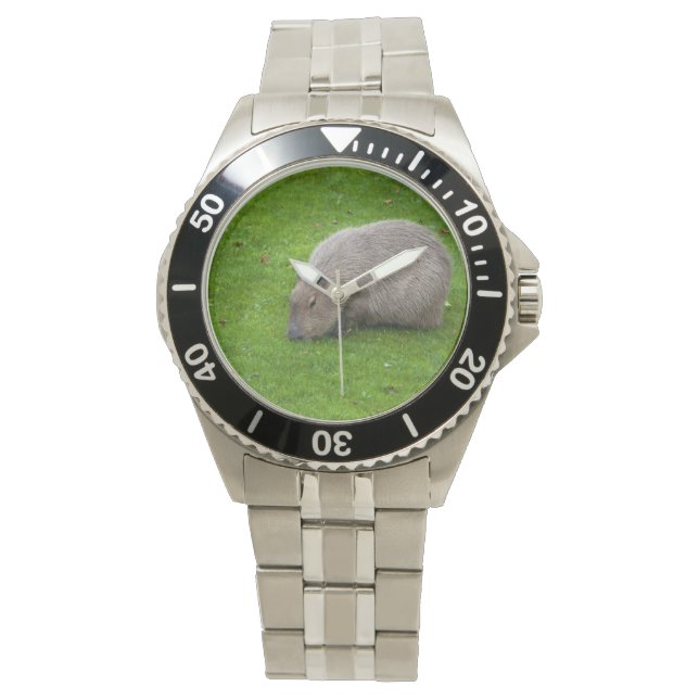 Amazing Animal Capybara Watch (Front)