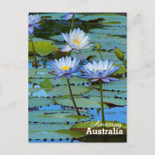 Amazing Australia postcard