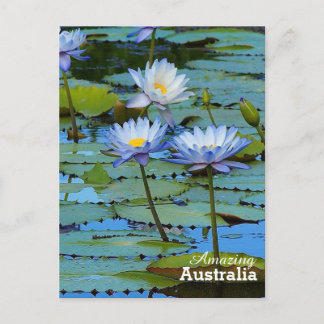 Amazing Australia postcard