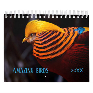 Amazing BIRDS Photography Calendar