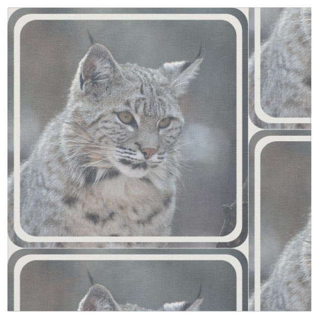 Amazing Bobcat Fabric (Close Up)