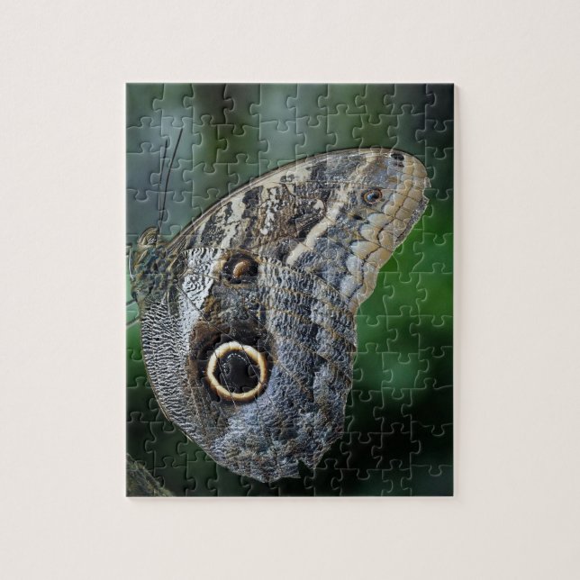 Amazing Caligo Eurilochus Butterfly Jigsaw Puzzle (Vertical)
