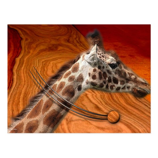 AMAZING CREATURES POSTCARD