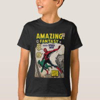 Amazing Fantasy Spider-Man Comic #15