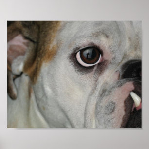 Amazing Grace Bulldog Cross Poster