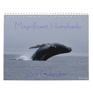Amazing Humpback Whale Calendar