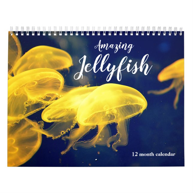 Amazing Jellyfish 2026 Calendar (Cover)