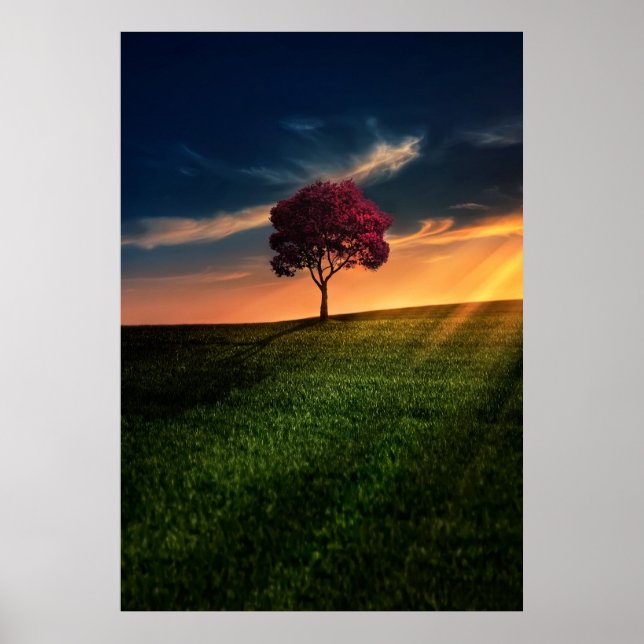 Amazing Landscape with a Red Tree at Sunset Poster (Front)