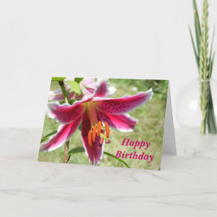 Amazing Lily Birthday Card