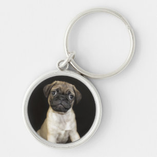 Amazing Little Pug Puppy Keychain