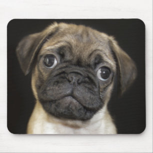 Amazing Little Pug Puppy Mouse Pad