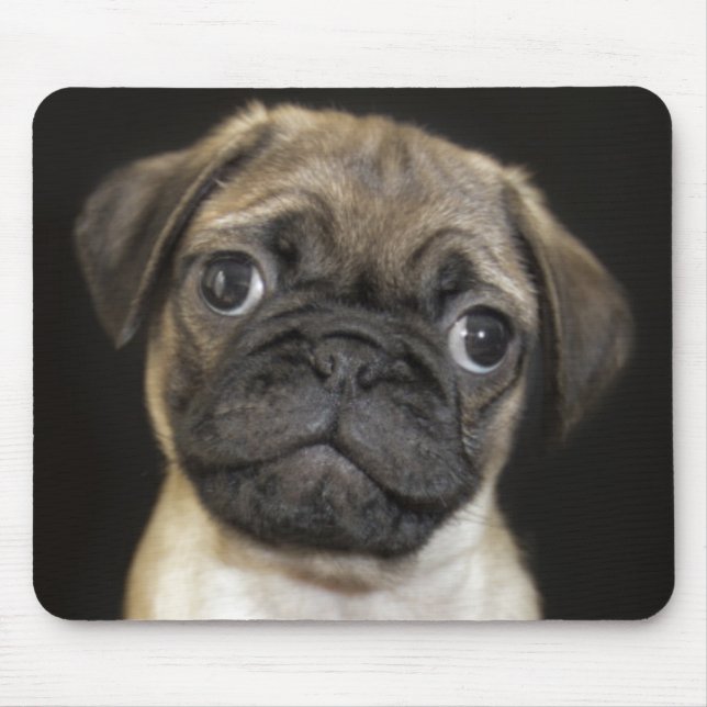 Amazing Little Pug Puppy Mouse Pad (Front)