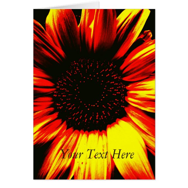 amazing picture of large yellow sunflower (Front)