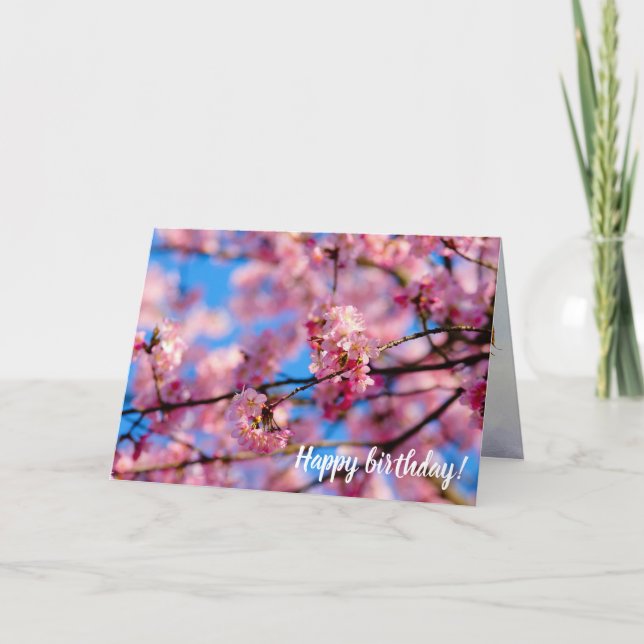 Amazing Pink Sakura And Blue Sky Of Spring Card (Front)