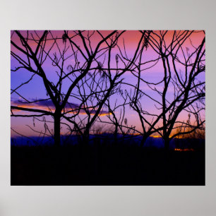 Amazing Purple Sunset with Tree Silhouettes Poster