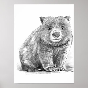 Amazing realistic wombat in pencil drawing style poster