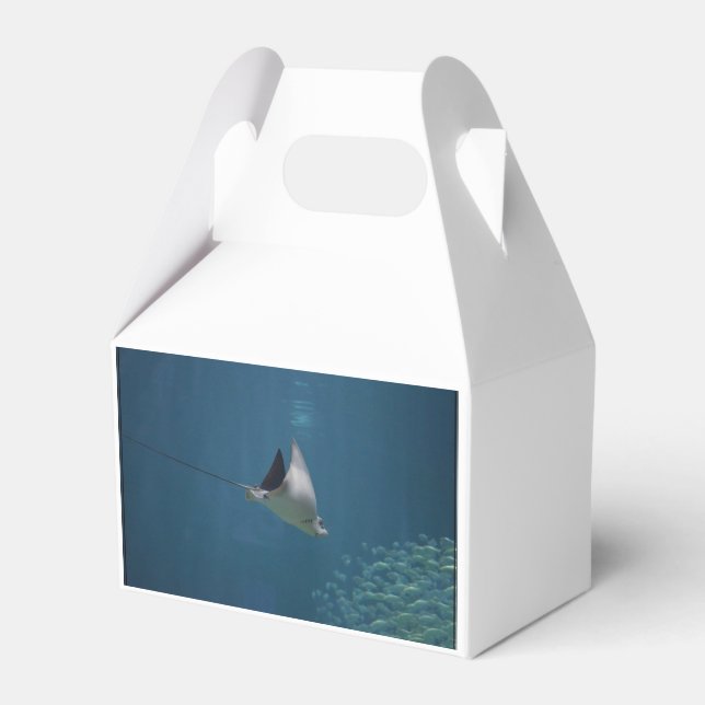 Amazing Stingray Favor Box (Front Side)
