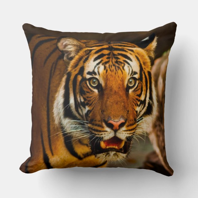 Amazing Tiger closeup Throw Pillow (Front)