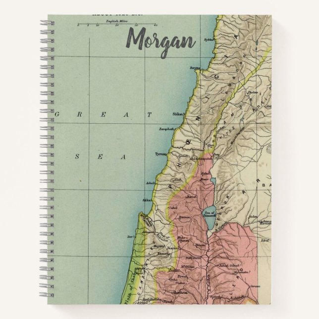Amazing Vintage Map of Israel Notebook (Front)