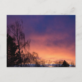 Amazing Winter Dawn Postcard